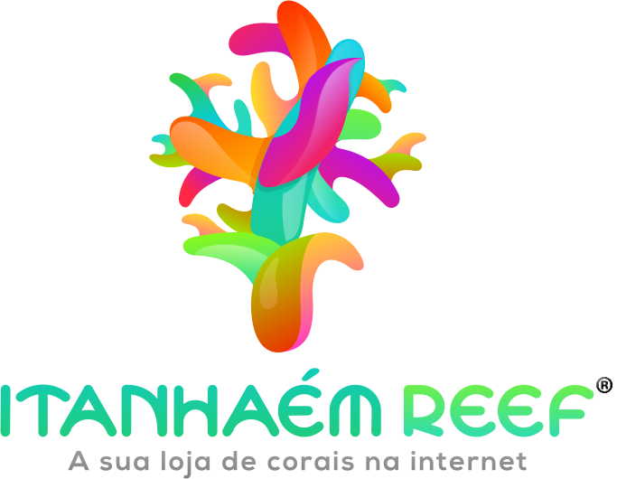Itanhaém Reef
